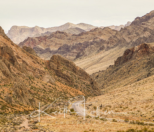 The couple walks the drive into the Valley