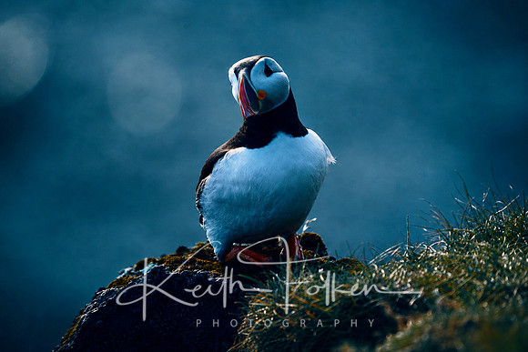 C01E0C38-3BF4-42A6-BA64-A2CB92B88A0E