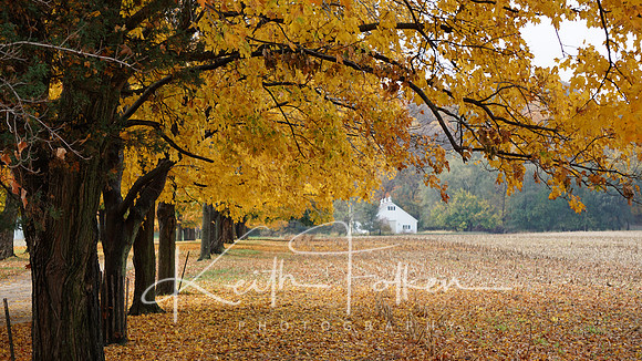 Fall Farm