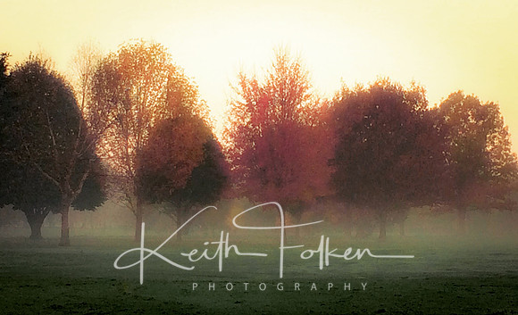 Foggy Morning