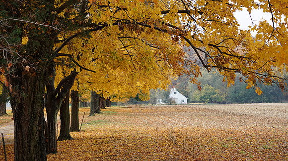 Fall Farm Illinois
