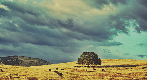 San Joaquin Valley Hills