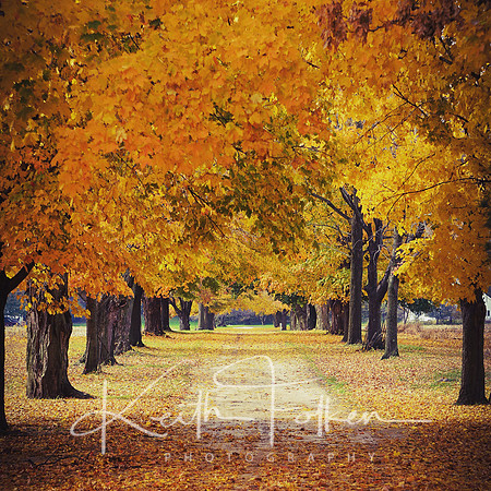 Fall Drive