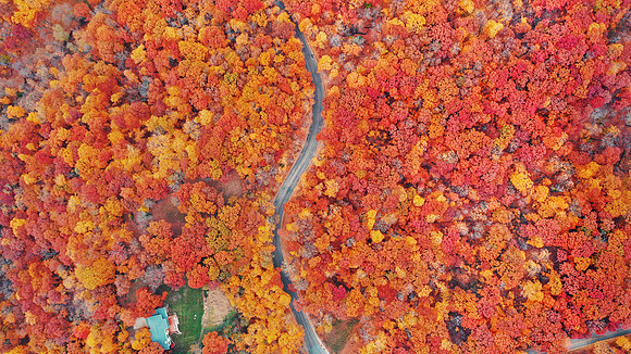 Illinois aerial view of fall colors along the river valley