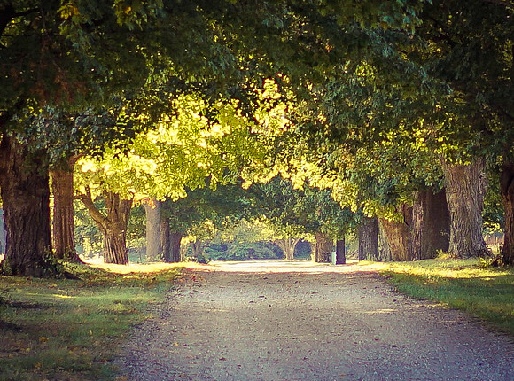 Before the Leaves Change Sept 2017 IMG_8630-Edit