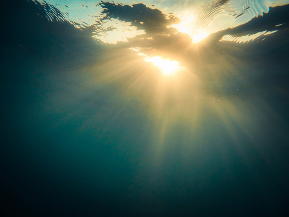 Oahu Hawaii, Under the water.  Underwater Photography