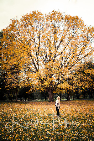 DSC02387-Edit