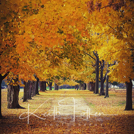Fall Drive
