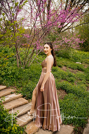 Irina_Prom_DSC00032.jpg